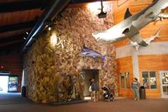 Henry-Doorly-Zoo-5