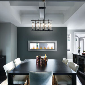 Napoleon Clearion Elite See Through