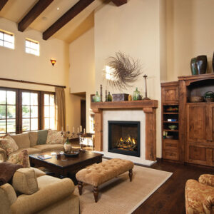 Napoleon Elevation X 36