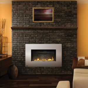 Napoleon PlasmaFire WHD31