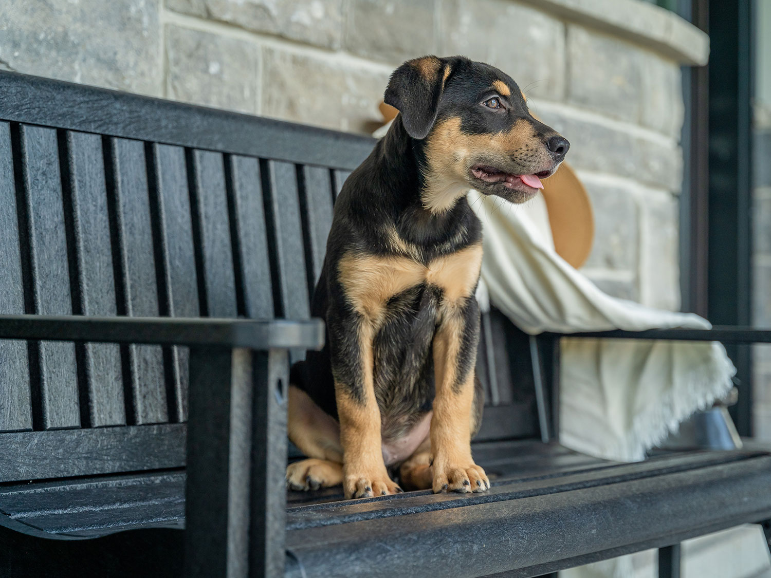 2023 Patio Furniture Fireplace Stone & Patio